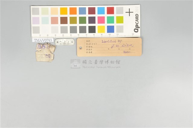 五色鳥藏品圖，第21張