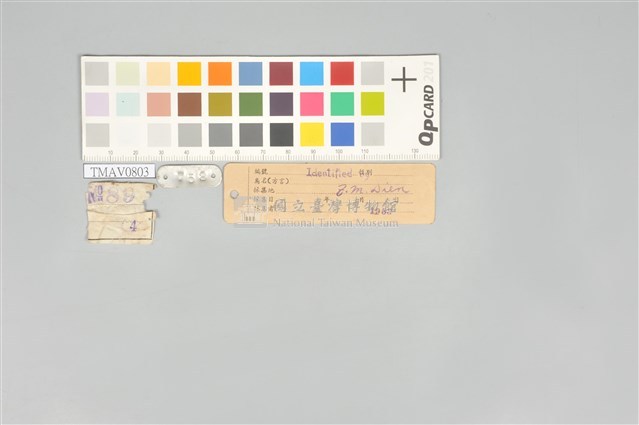 五色鳥藏品圖，第21張