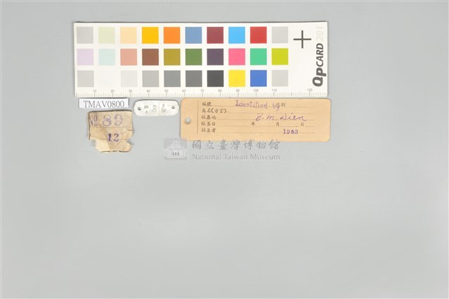 五色鳥藏品圖，第21張