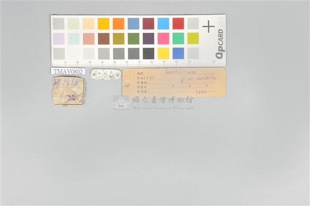 五色鳥藏品圖，第21張