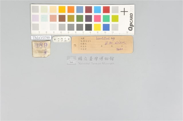 五色鳥藏品圖，第21張