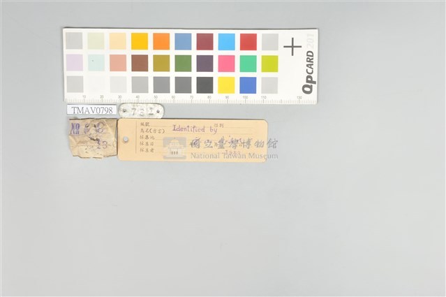 五色鳥藏品圖，第21張