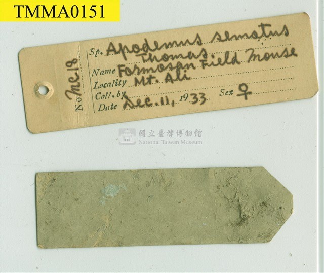 Formosan Field Mouse Collection Image, Figure 9, Total 18 Figures