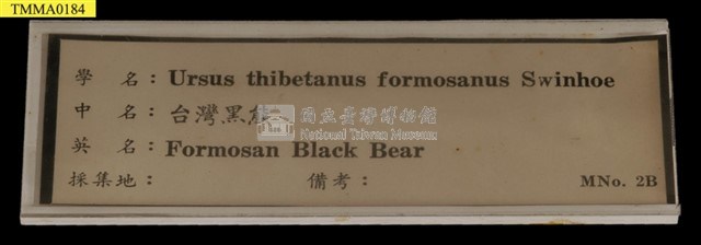 臺灣黑熊藏品圖，第20張