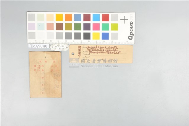 五色鳥藏品圖，第20張