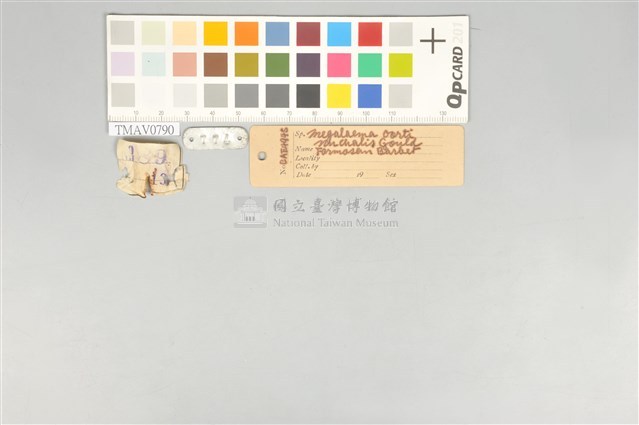 五色鳥藏品圖，第20張