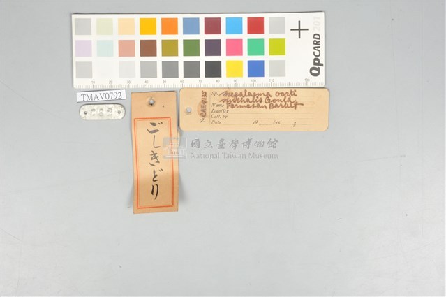 五色鳥藏品圖，第20張