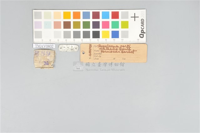 五色鳥藏品圖，第20張