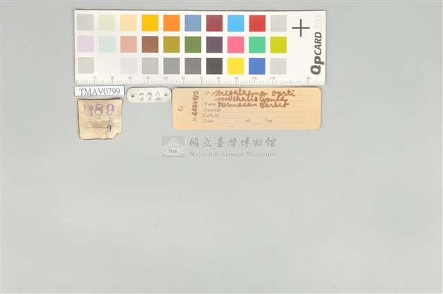 五色鳥藏品圖，第20張