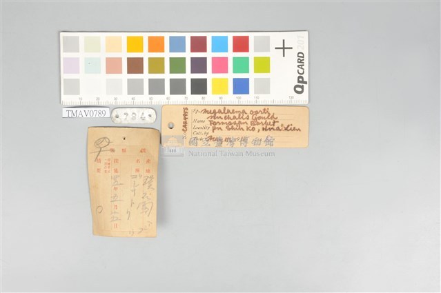 五色鳥藏品圖，第20張