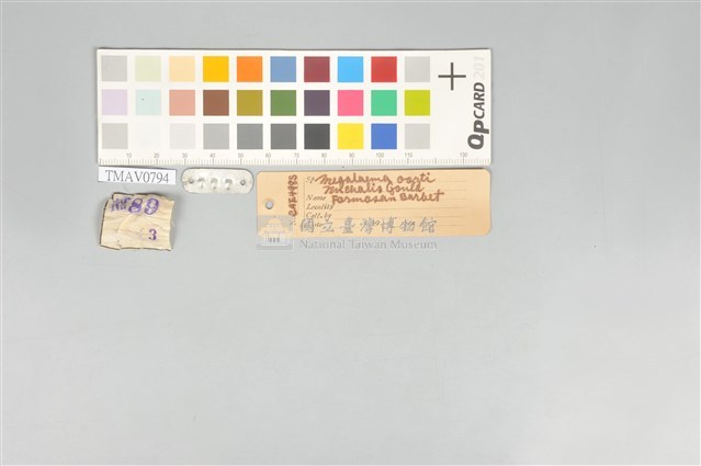 五色鳥藏品圖，第20張