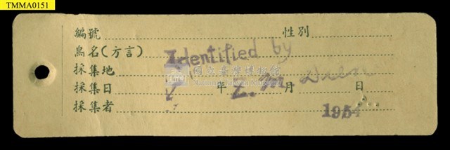 Formosan Field Mouse Collection Image, Figure 11, Total 18 Figures