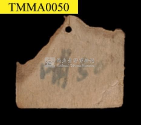 臺灣鯪鯉藏品圖，第12張