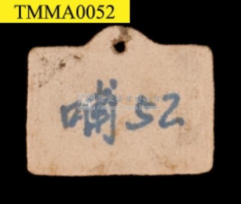臺灣鯪鯉藏品圖，第12張