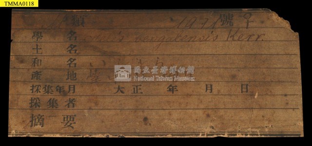 石虎藏品圖，第13張