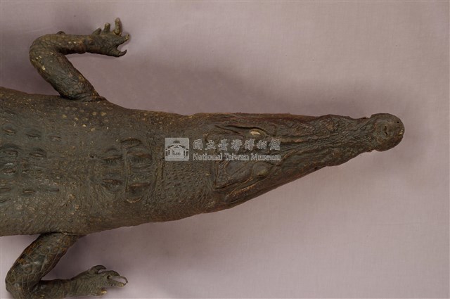 灣鱷藏品圖，第12張