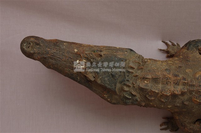 眼鏡凱門鱷藏品圖，第15張
