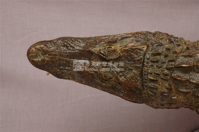 灣鱷藏品圖，第15張
