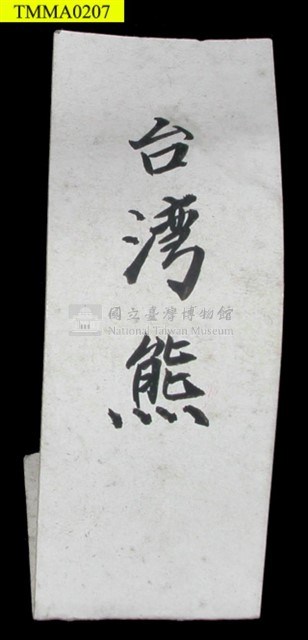 臺灣黑熊(幼)藏品圖，第10張
