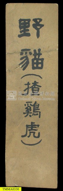 臺灣雲豹頭骨藏品圖，第9張