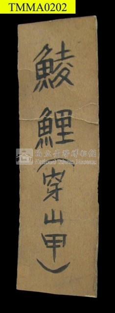 臺灣鯪鯉藏品圖，第10張