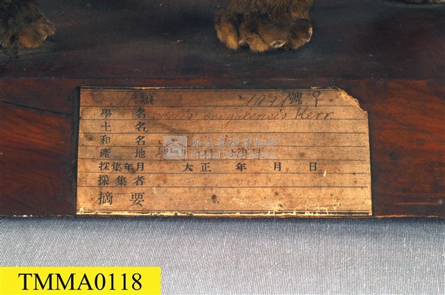 石虎藏品圖，第10張