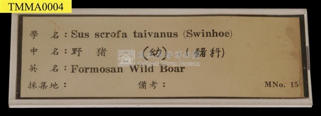 Formosan Wild Boar Collection Image, Figure 13, Total 16 Figures