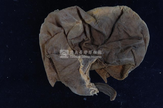 帝雉嗉囊藏品圖，第5張