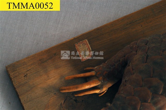 臺灣鯪鯉藏品圖，第11張