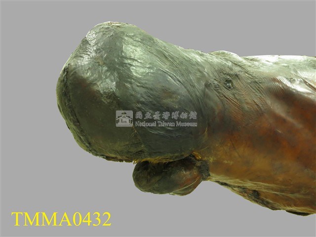 儒艮藏品圖，第7張