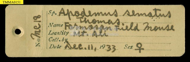 Formosan Field Mouse Collection Image, Figure 16, Total 18 Figures