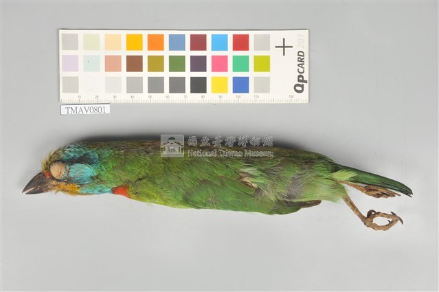 五色鳥藏品圖，第1張