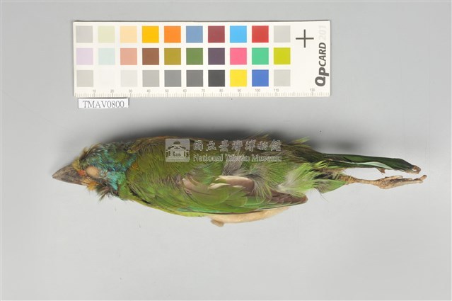 五色鳥藏品圖，第1張
