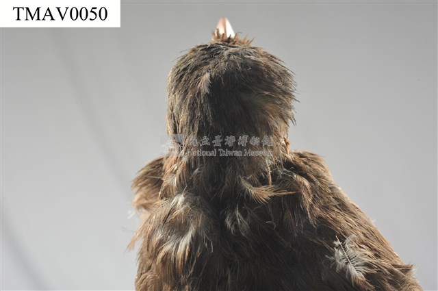 Brown-eared Bulbul Collection Image, Figure 11, Total 13 Figures