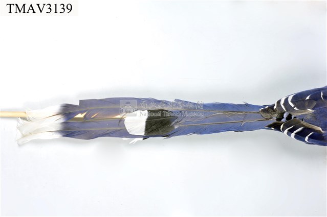 臺灣藍鵲藏品圖，第17張
