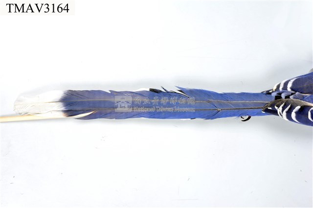 臺灣藍鵲藏品圖，第17張