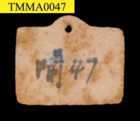 臺灣鯪鯉藏品圖，第14張