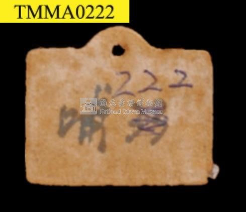 臺灣鯪鯉藏品圖，第16張