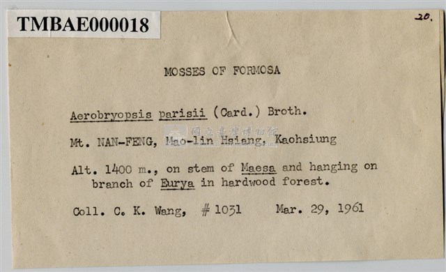 Aerobryopsis parisii (Card.) Broth. Collection Image, Figure 3, Total 8 Figures