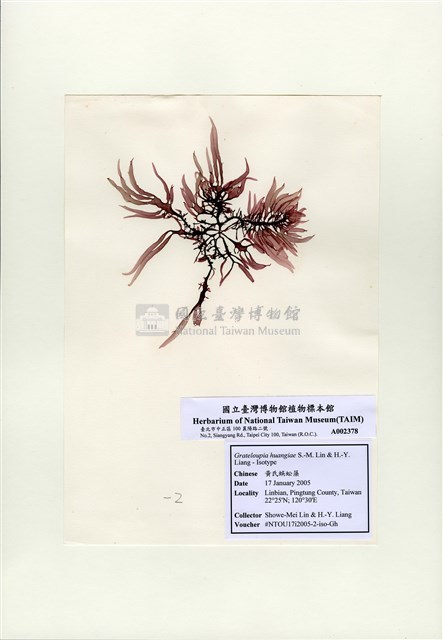 Accession Number:TAIMA002378 Collection Image, Figure 4, Total 4 Figures