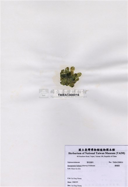 Accession Number:TAIMA000016 Collection Image, Figure 1, Total 3 Figures