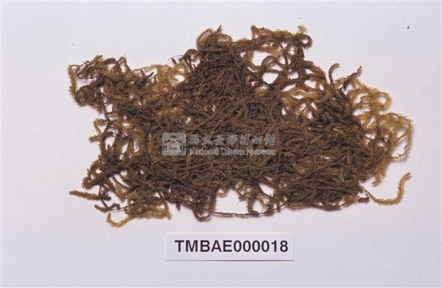 Aerobryopsis parisii (Card.) Broth. Collection Image, Figure 2, Total 8 Figures