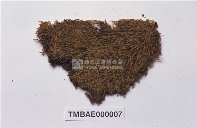單疣苔藏品圖，第2張