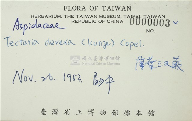 排灣三叉蕨藏品圖，第3張
