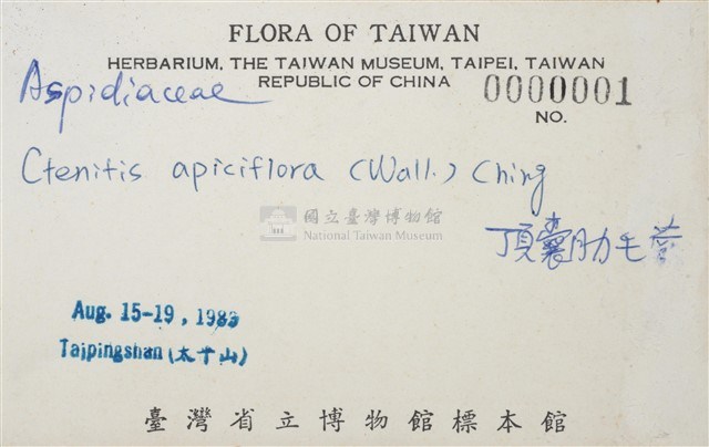 頂囊擬鱗毛蕨藏品圖，第3張