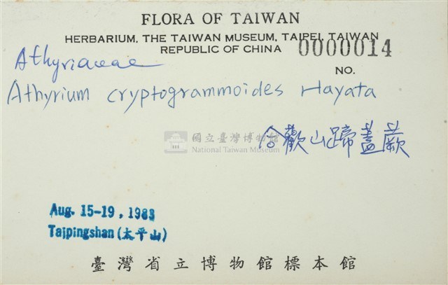 細葉蹄蓋蕨藏品圖，第3張