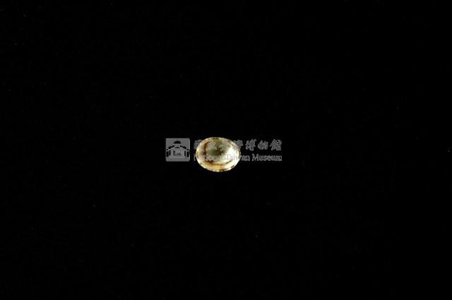 花帽青螺藏品圖，第4張