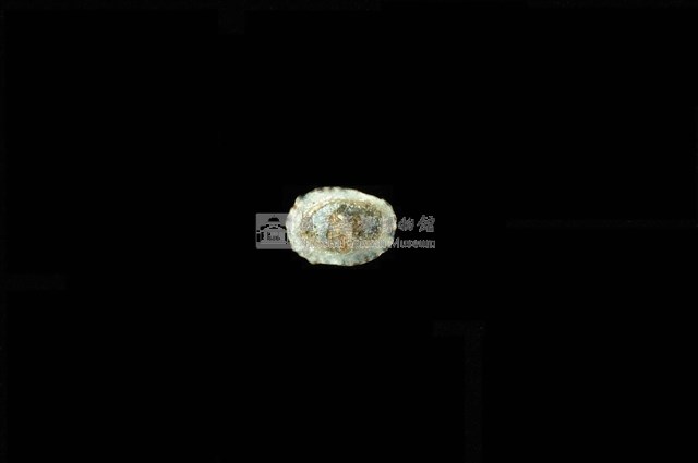 花帽青螺藏品圖，第4張