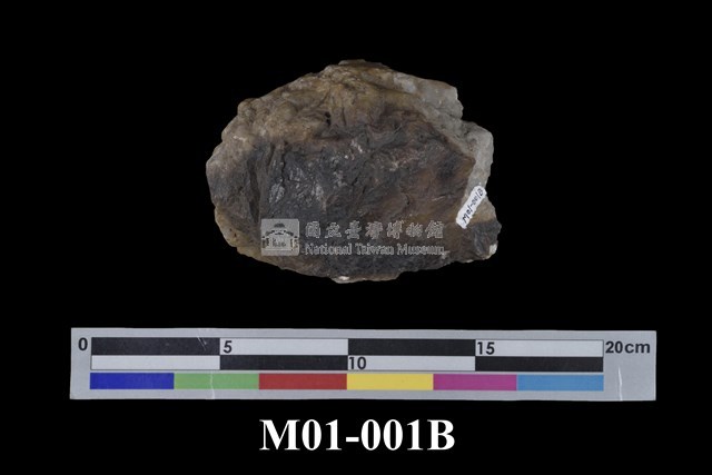 金礦藏品圖，第9張
