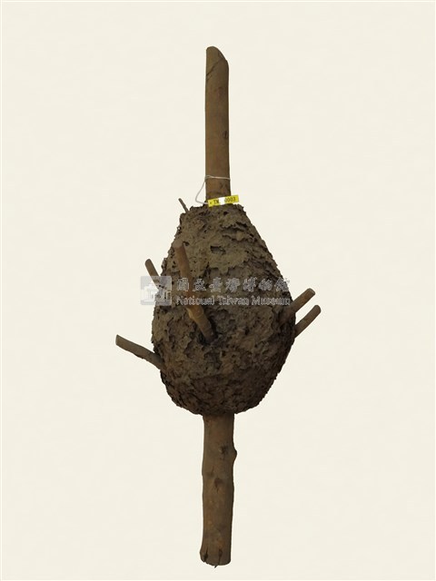 樹枝上之蟻巢藏品圖，第1張